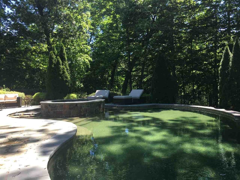 110 Botanical Way, Chapel Hill, NC 27517