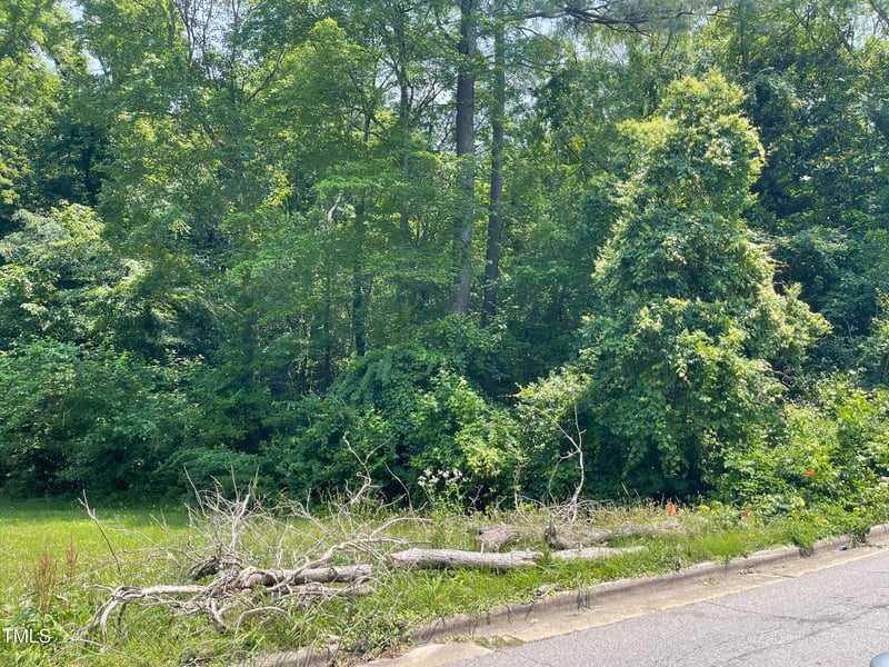 110 Creech Rd Lot 1, Garner, NC 27529