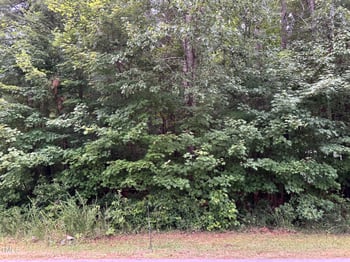110 Dogwood St, Franklinton, NC 27525