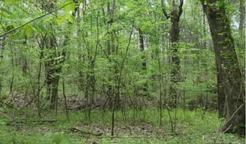 110 Jafar Ln, Statesville, NC 28625