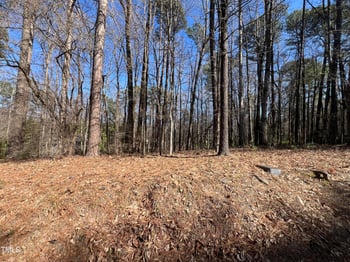 110 Maplewood Dr Lot 25, Knightdale, NC 27545