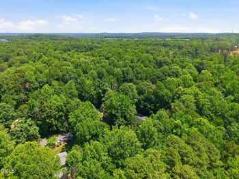 110 Twisted Ct, Hillsborough, NC 27278