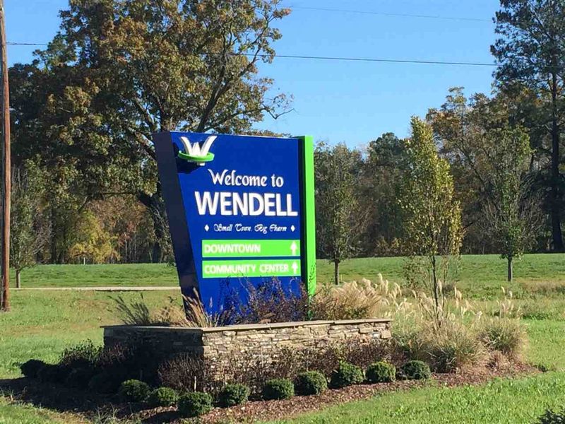 1101 Raven Perch Dr, Wendell, NC 27591