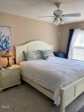 11017 Peacock Moss St, Raleigh, NC 27613