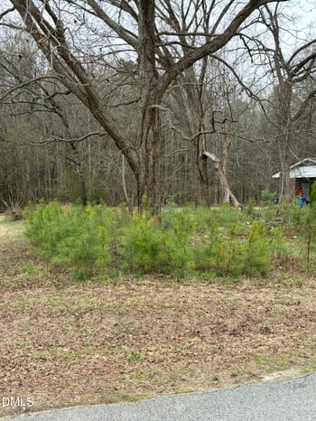 1102 6th St, Lillington, NC 27546