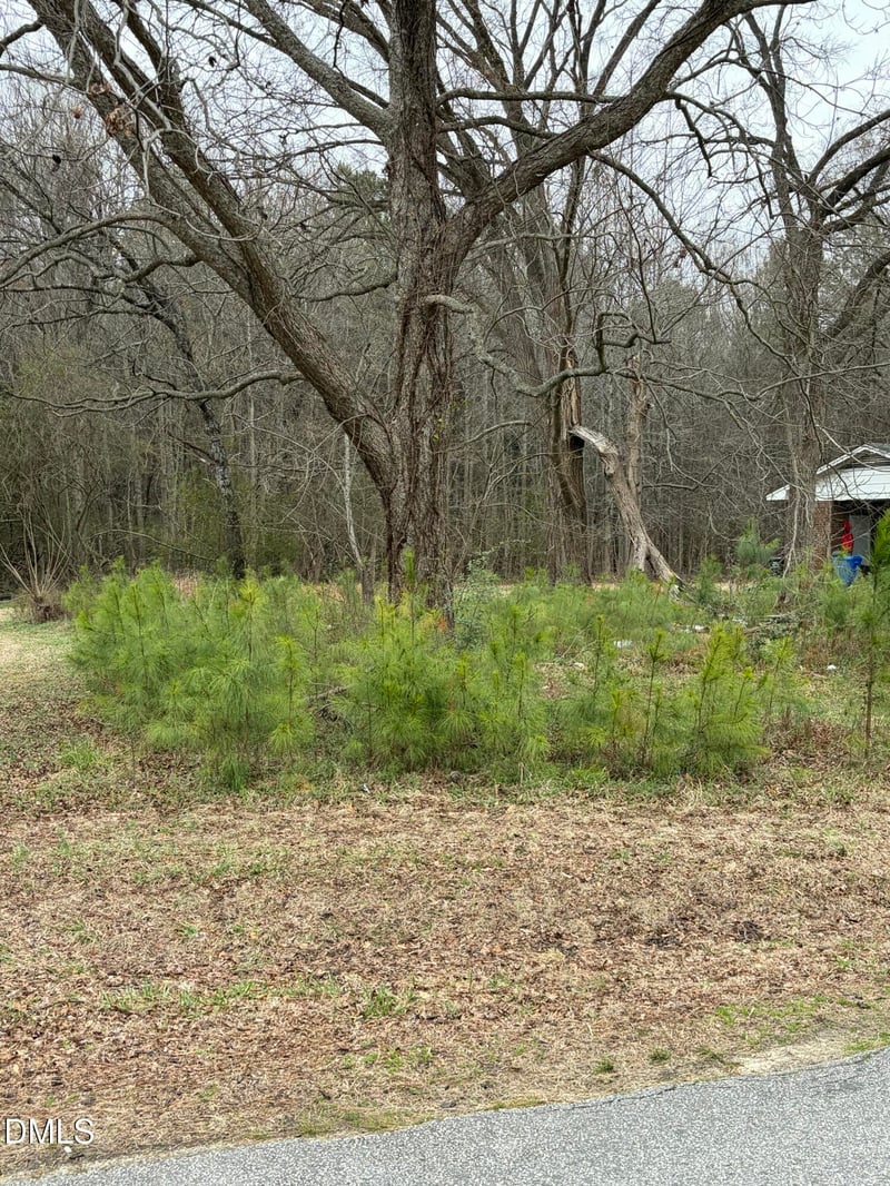 1102 6th St, Lillington, NC 27546