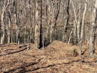 1105 Fontaine Rd, Roxboro, NC 27574