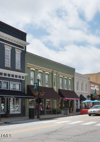 1105 Palisade Bluff Ln, Apex, NC 27502