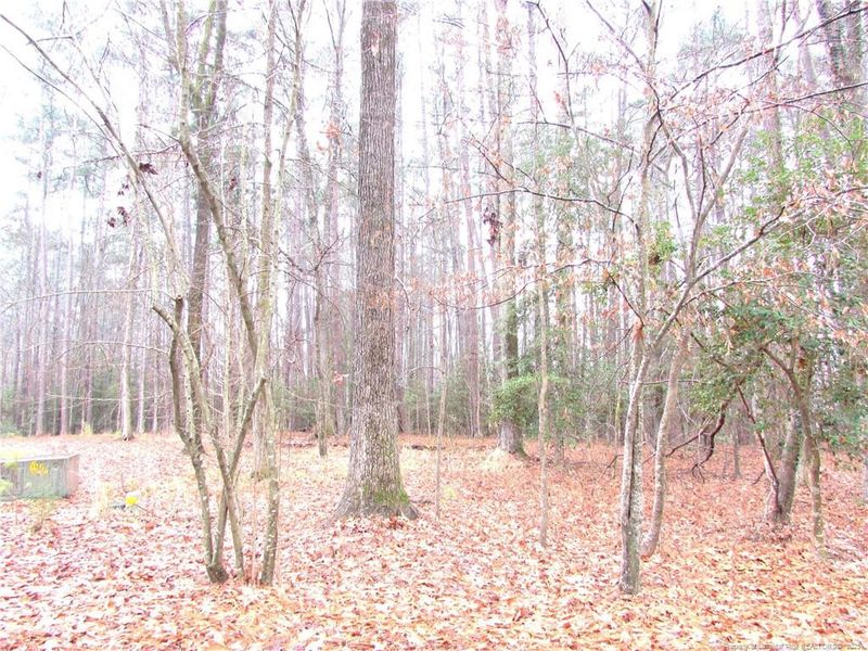 1106 Pineside Trl, Sanford, NC 27332