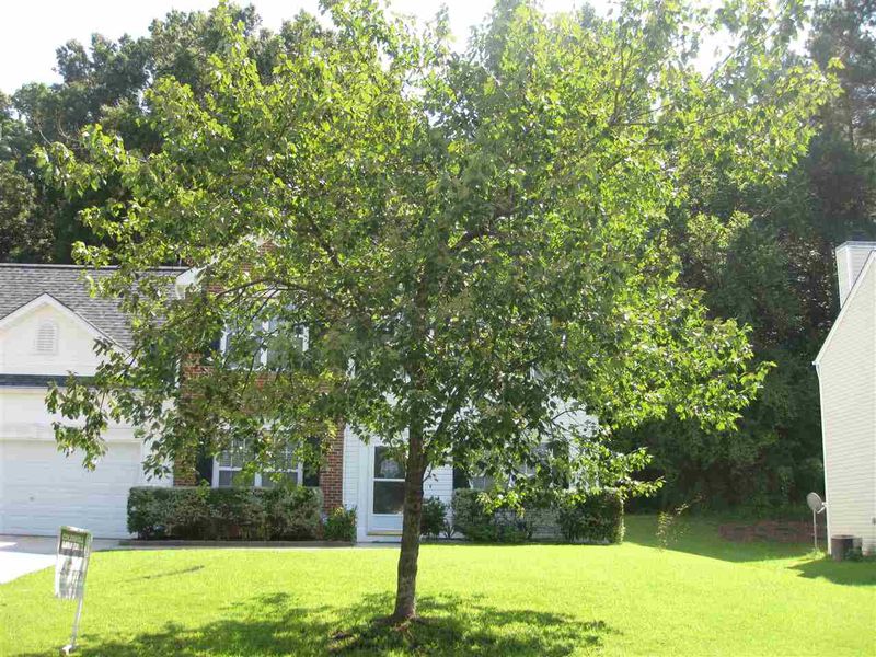 1109 Faithful Pl, Wake Forest, NC 27587