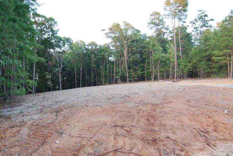 111 Amsterdam Dr, Clayton, NC 27520