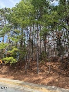 111 Bolinwood Dr Lot 9, Chapel Hill, NC 27514