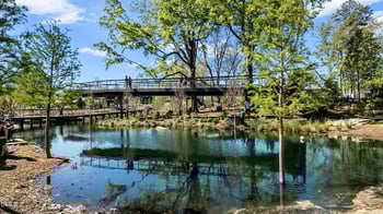 111 Colchis Ct, Cary, NC 27513