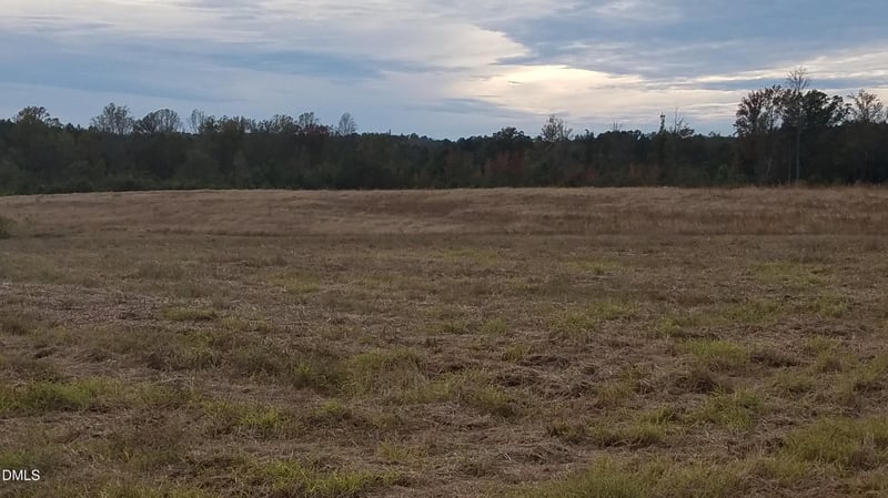 111 Old Wagon Ln, Sanford, NC 27332