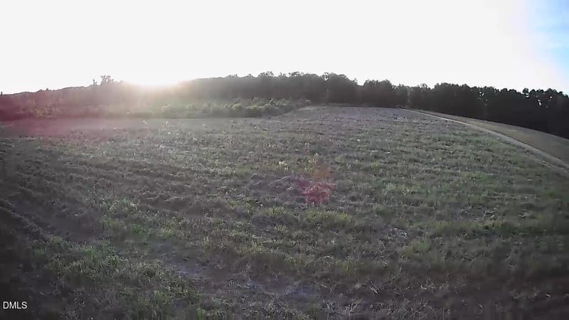 111 Old Wagon Ln, Sanford, NC 27332