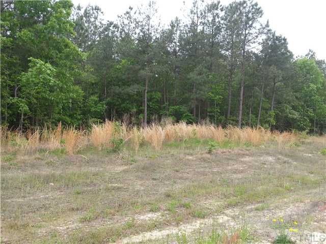 111 Raynor Sands Dr Lot 2, Dunn, NC 28334