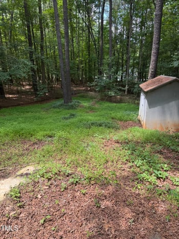 111 Running Bear Dr, Louisburg, NC 27549