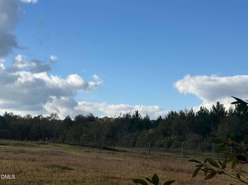 111 Tarheel Rd, Benson, NC 27504