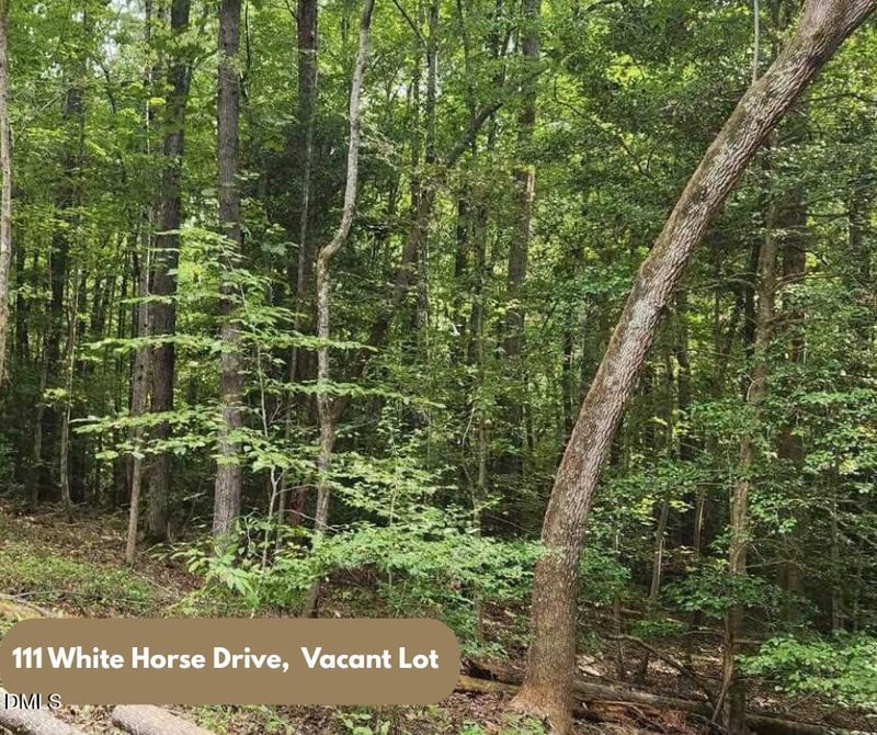 111 White Horse Dr Lot 2933, Louisburg, NC 27549