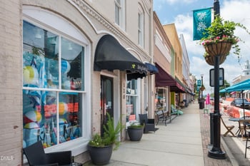 1110 Palisade Bluff Ln, Apex, NC 27502