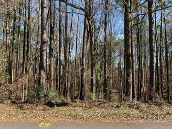 11104 Crestmont Dr Lot 67, Raleigh, NC 27613
