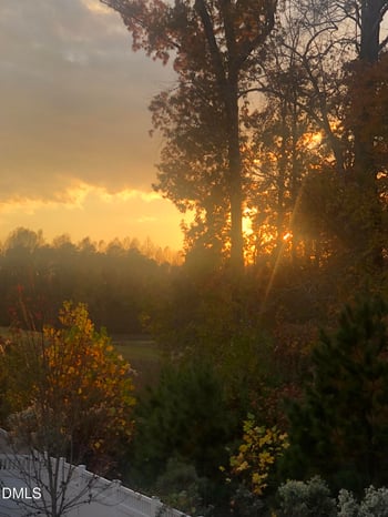 1112 Elk Falls Dr, Wendell, NC 27591