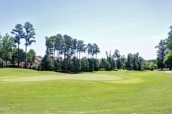 11121 Bayberry Hills Dr, Raleigh, NC 27617