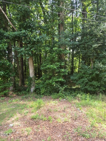11121 Carolina 42 , Holly Springs, NC 27540