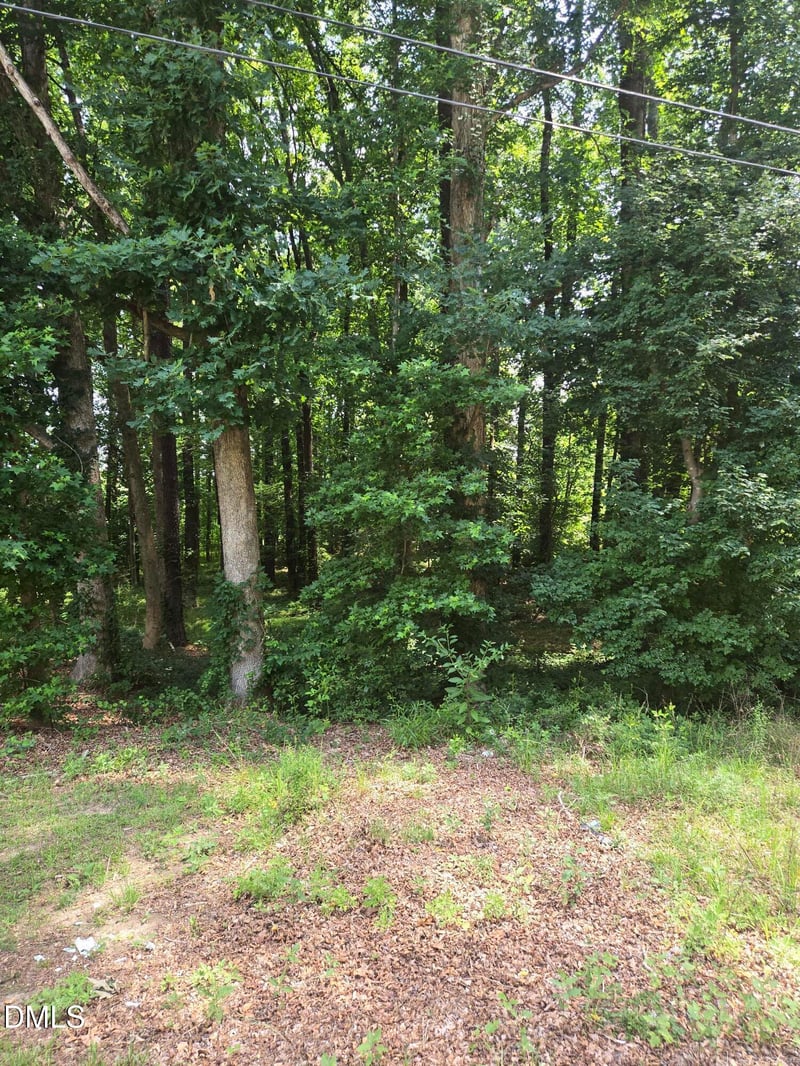 11121 Carolina 42 , Holly Springs, NC 27540