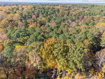 11125 Lakeshore Dr, Raleigh, NC 27613