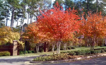 1114 Arborgate Cir, Chapel Hill, NC 27514