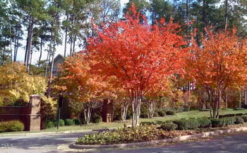 1114 Arborgate Cir, Chapel Hill, NC 27514