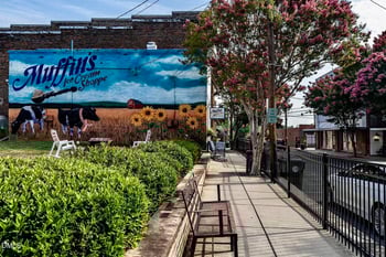 1115 Nantucket Dr Lot 87, Mebane, NC 27302