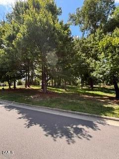 1117 Bungalow Park Dr, Apex, NC 27502