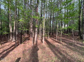 112 Buffalo Dr, Louisburg, NC 27549