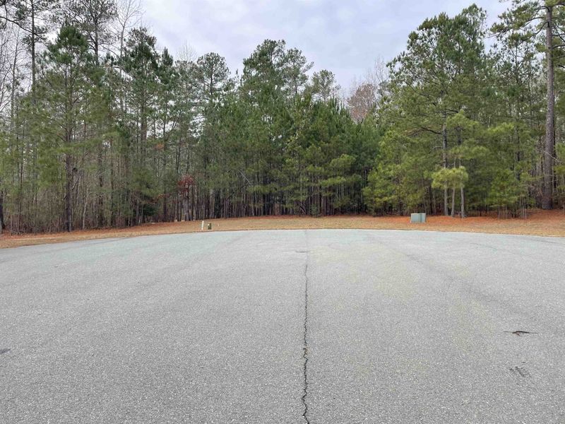 112 Cala Lily Ct Lot 29, Chapel Hill, NC 27516