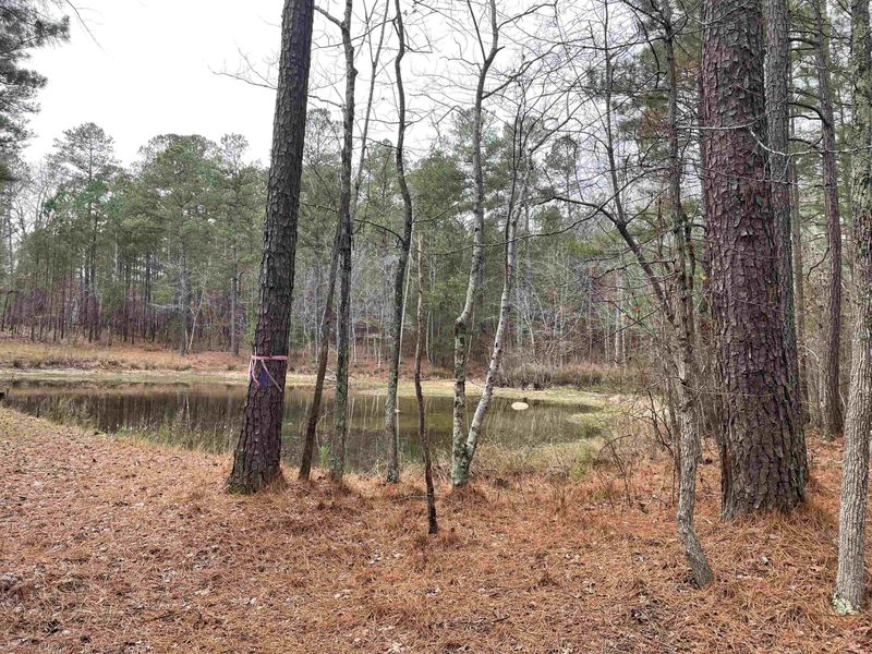 112 Cala Lily Ct Lot 29, Chapel Hill, NC 27516