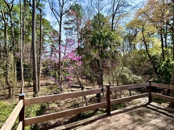 112 Essex Dr, Chapel Hill, NC 27514