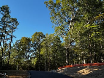 112 Noble Reserve Way, Pittsboro, NC 27312