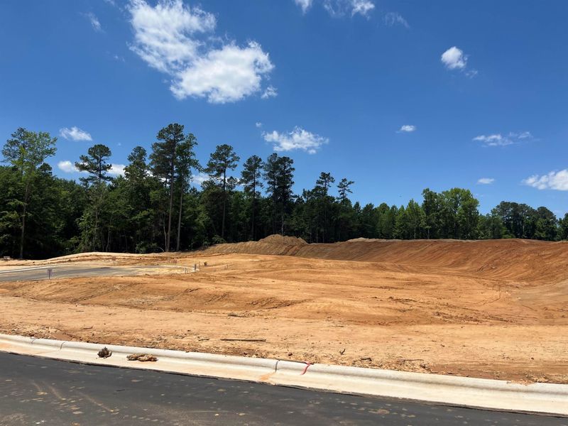 112 Olivo Ct, Garner, NC 27529