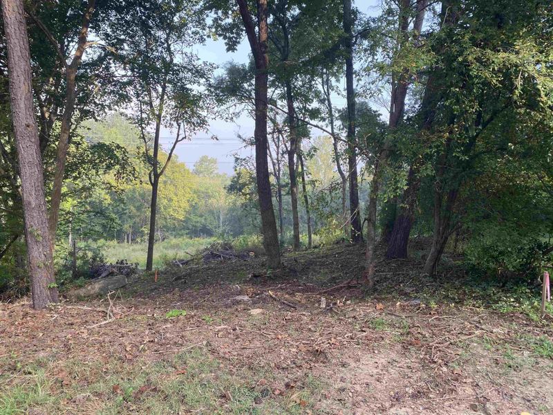 112 Remington Woods Dr Lot 112, Wake Forest, NC 27587