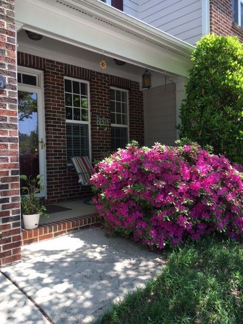 11202 Slider Dr, Raleigh, NC 27614