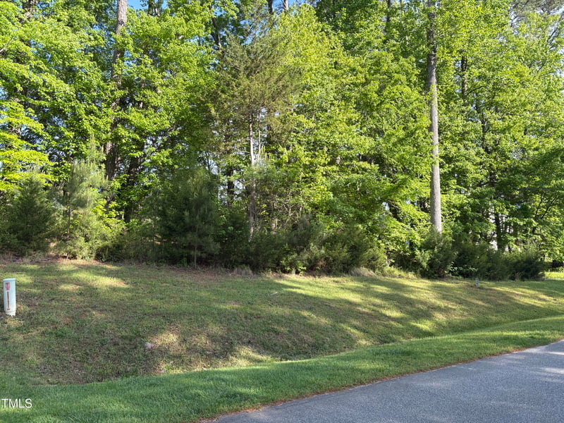1121 Dovefield Ln Lot 86, Youngsville, NC 27596