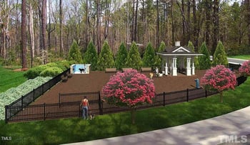 1121 Little Gem Ln, Apex, NC 27523