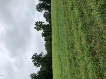 11219 Burgess Rd Lot 5 & 6, Middlesex, NC 27557
