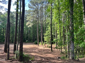 1123 Wake Robin Ln, Cary, NC 27519