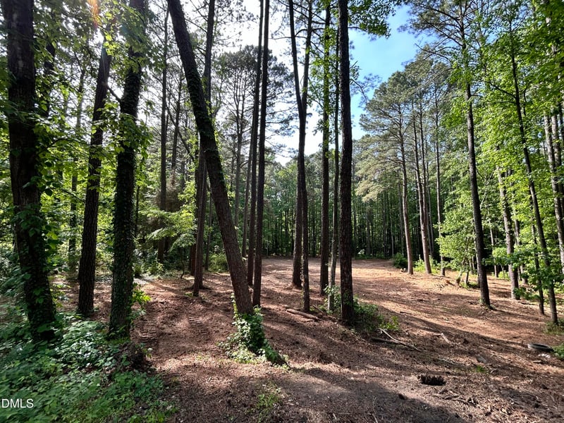 1123 Wake Robin Ln, Cary, NC 27519