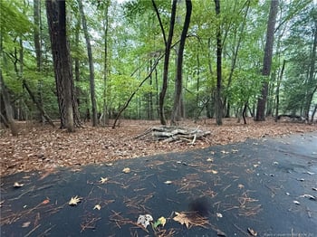 1128 Creekside Trl, Sanford, NC 27332