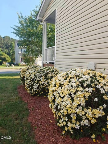 1128 Woodlands Creek Way, Apex, NC 27502