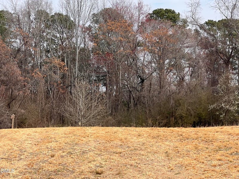 1129 Landmark Rd Lot 1, Willow Springs, NC 27592